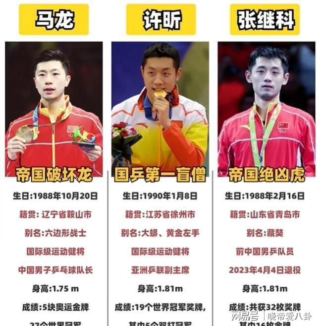 奥地利队横扫德国队，张继科高光表现