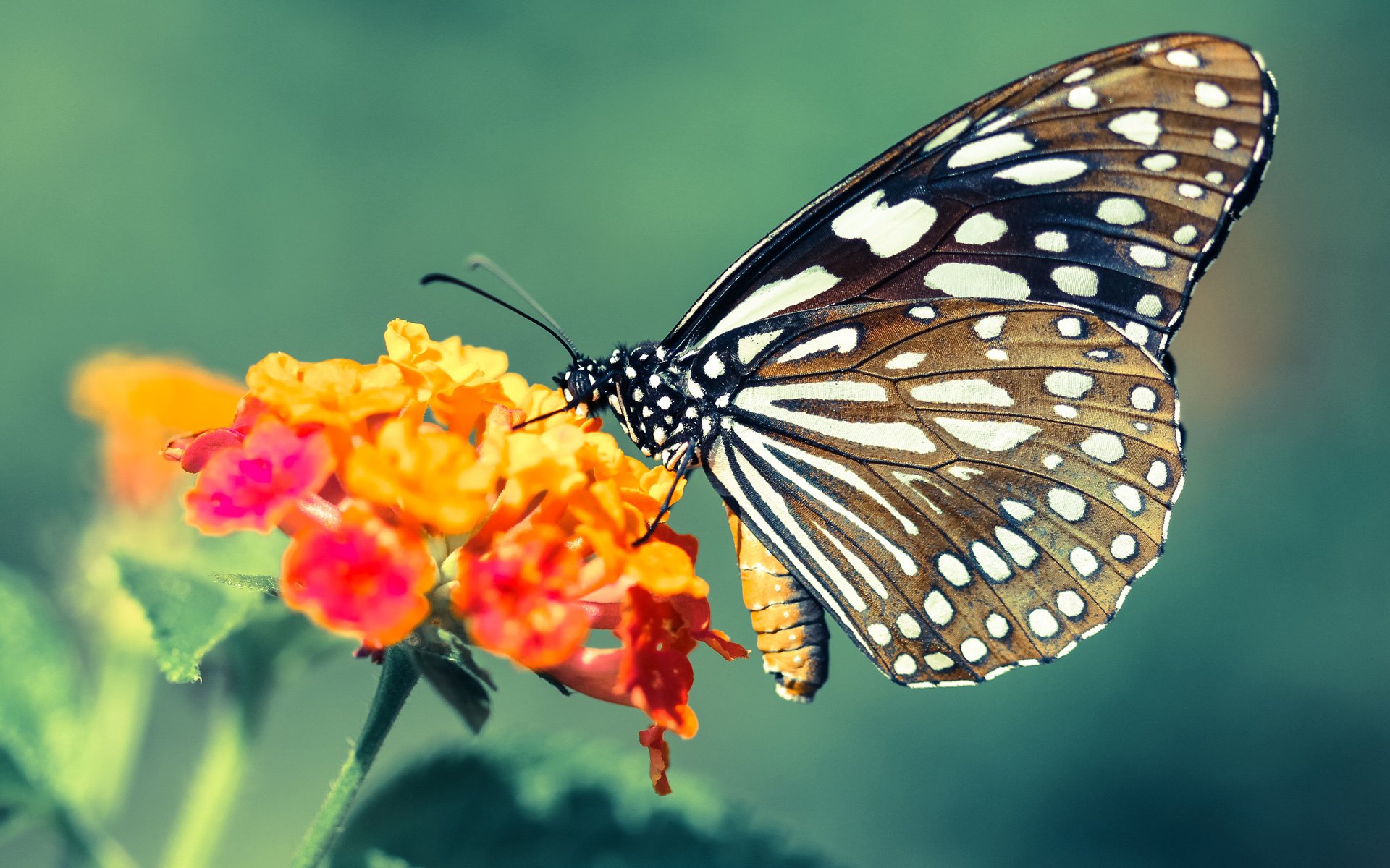 悬崖边的牛仔对决，山西末节逆转，四川克莱狂飙47分徒留悲壮