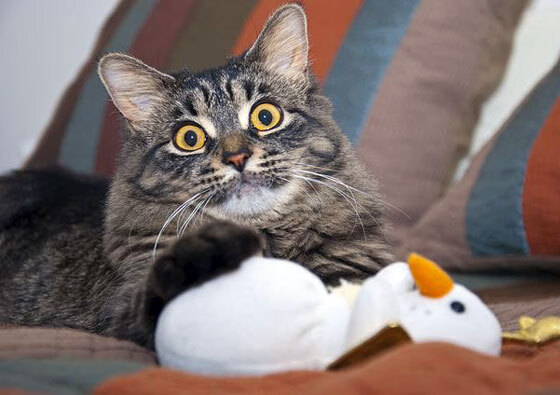 绝境中的魔术，陶汉林44分钟炼狱带队逆转76人