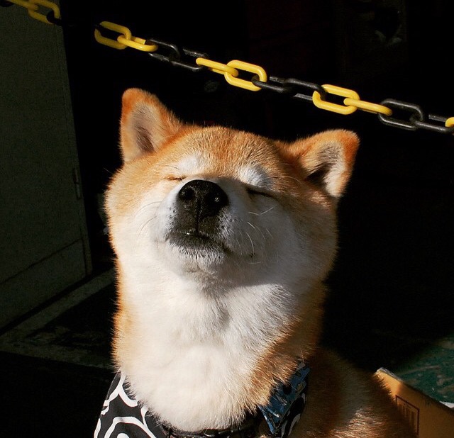 从地心引力突围，皮亚斯特里的无声革命与索伯的悲壮鏖战