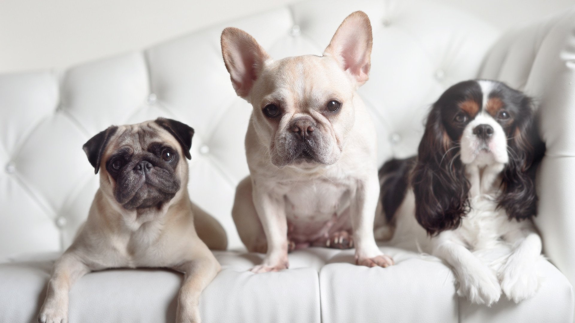 卡塞米罗，当星光闪耀时，有人在编织冠军的蓝图