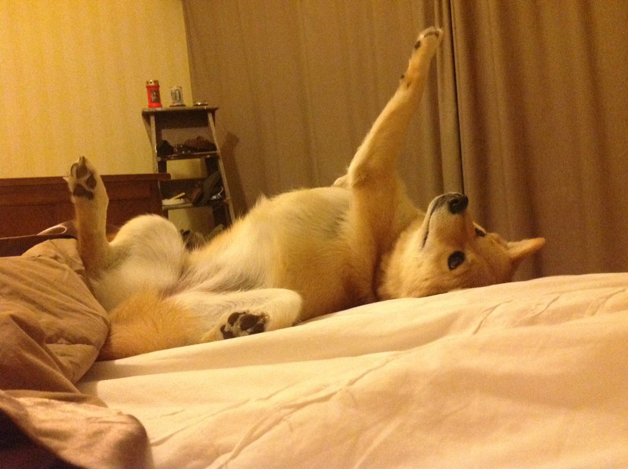 西决生死战之夜，卡塞米罗，那个掌控比赛节奏的幽灵