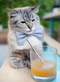 战术熔炉，意甲焦点战中火力压制的艺术