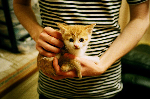 萨卡的魔力,用足球世界的唯一性解开一场出人意料的速度之战