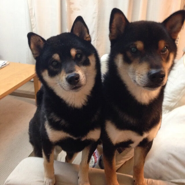 从救赎到征服,足球世界中个人与集体的涅槃时刻