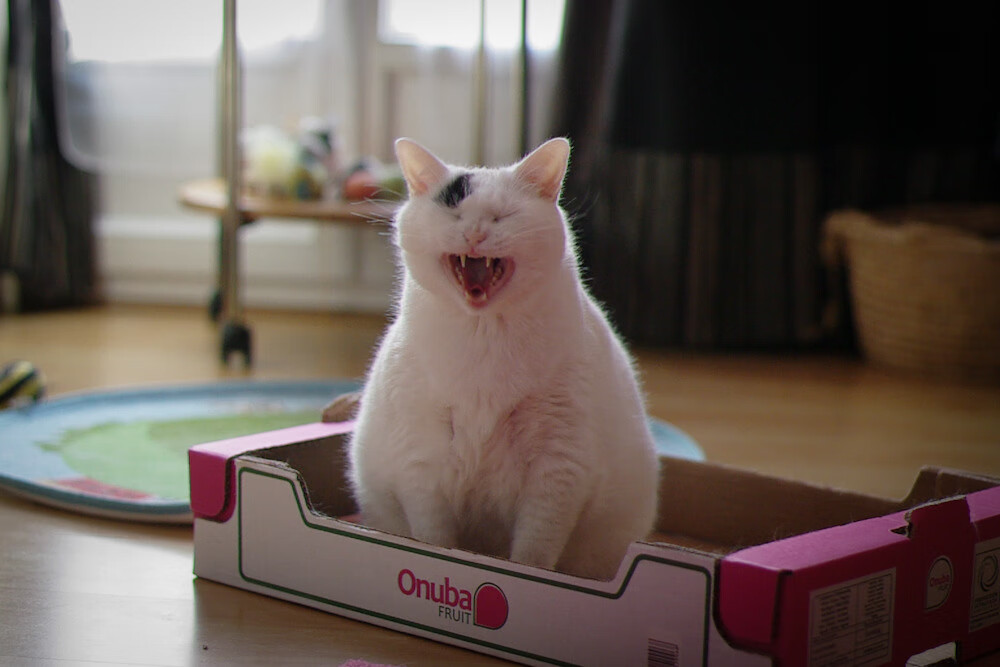 看不见的对手，哈登的自我救赎与另一片战场