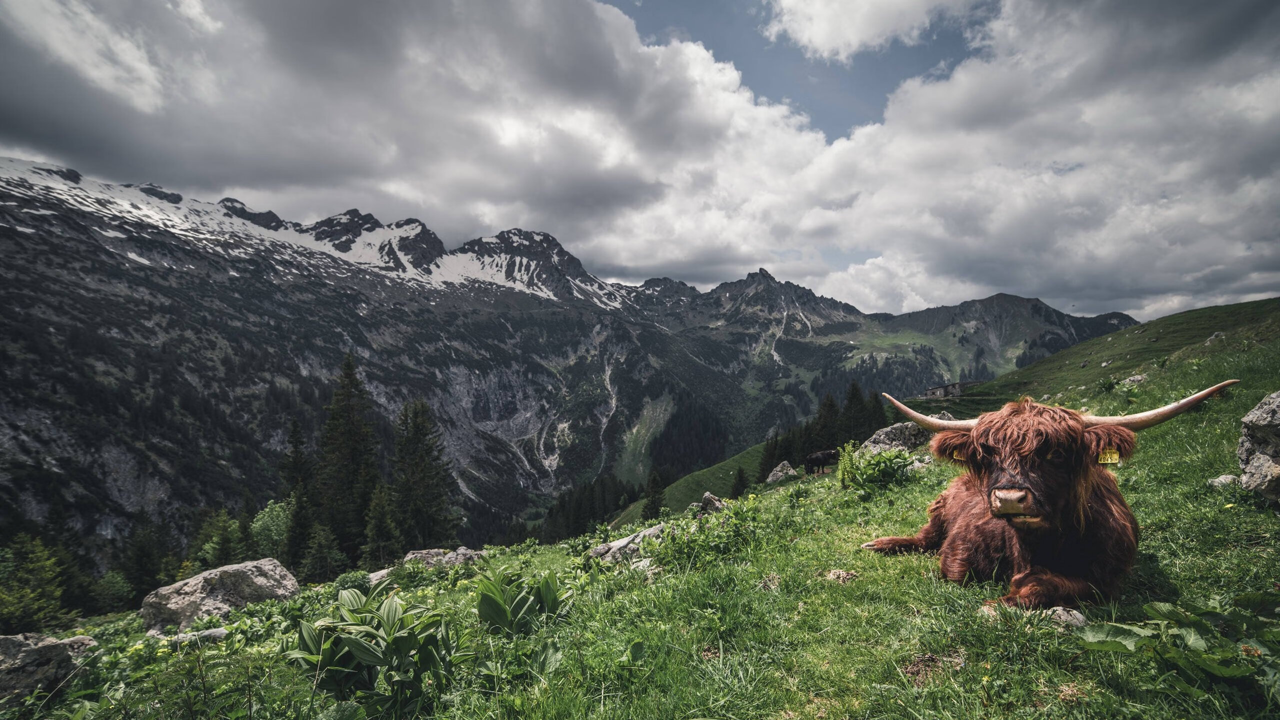 世界的另一个角落，同一种英雄主义