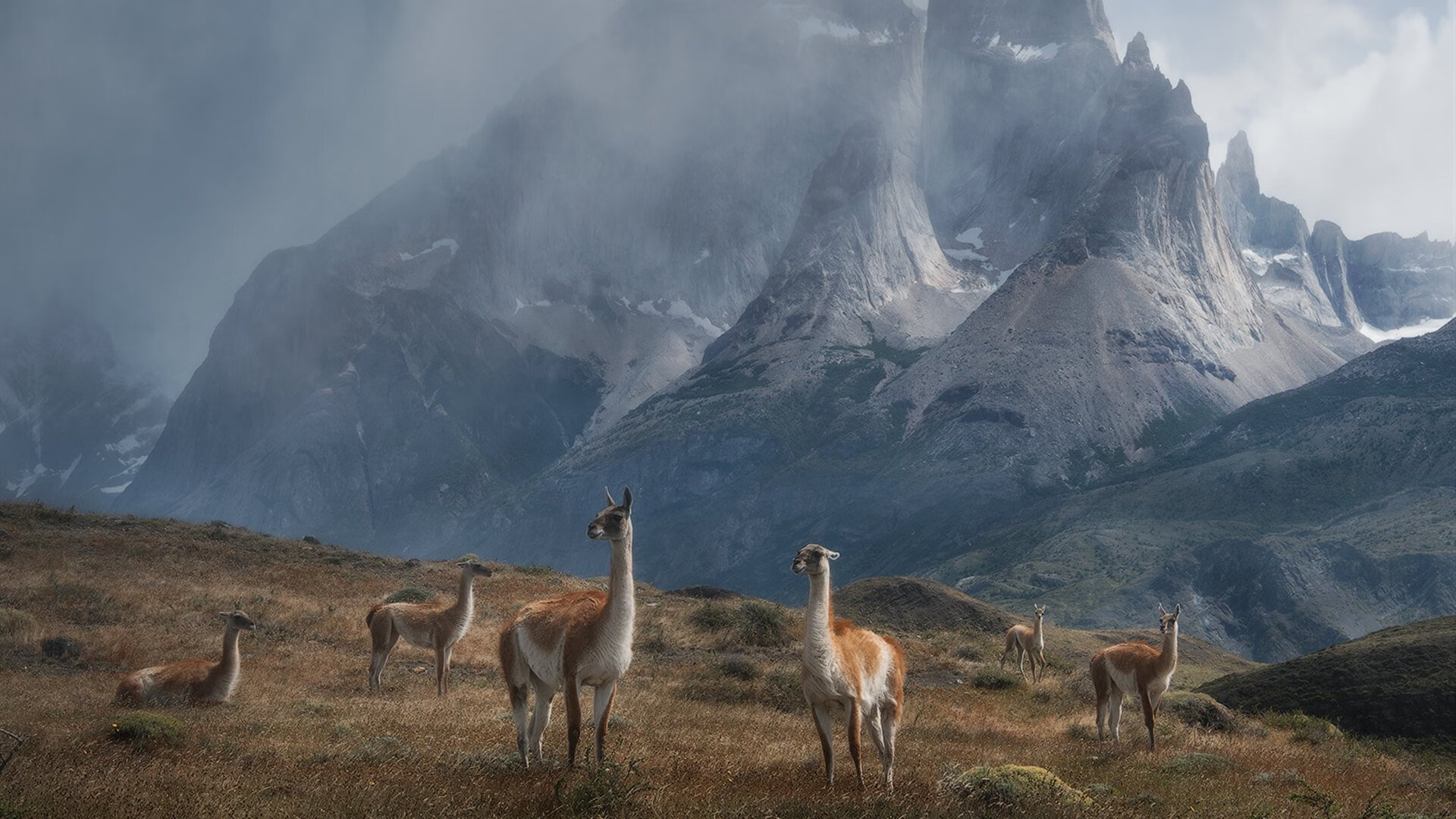 金庸式后仰,英格拉姆一剑光寒,马刺之道胜似二十座奖杯
