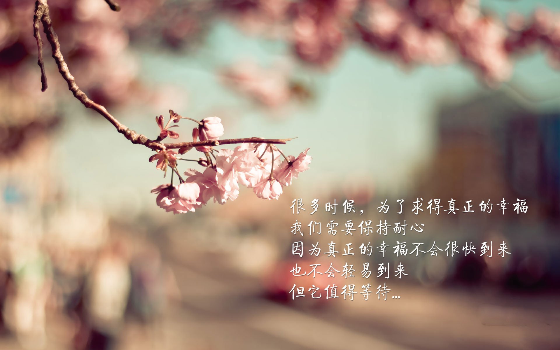节奏之王的独白,德容与巴西,在2026世界杯H组奏响唯一的美学