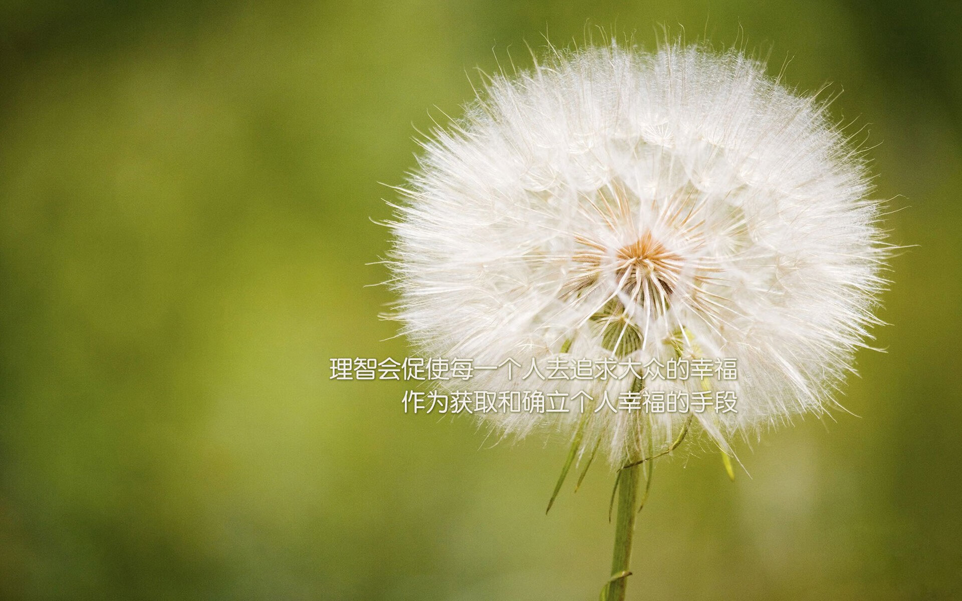 唯一性的光芒,当喀麦隆的坚韧遭遇厄瓜多尔的秩序,费利克斯在B组刻下不朽航标